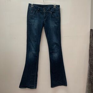 Hudson Jeans Indigo Flare & Wide Leg